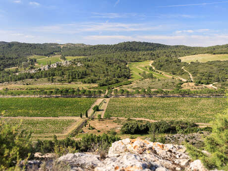 Domaine de la Vallongue