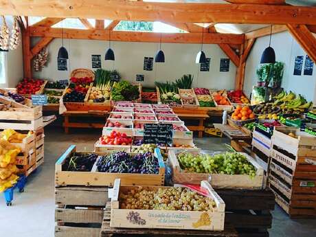 Le jardin des dentelles