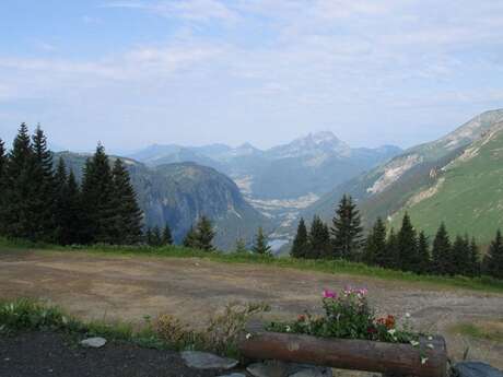 Randonnée - Flore & géologie au Col de Bassachaux