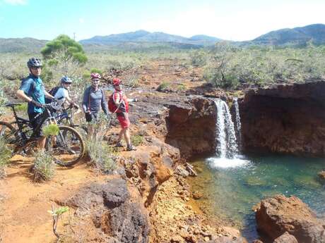 Trail 7 - Carenage River Trail to Netcha Loops