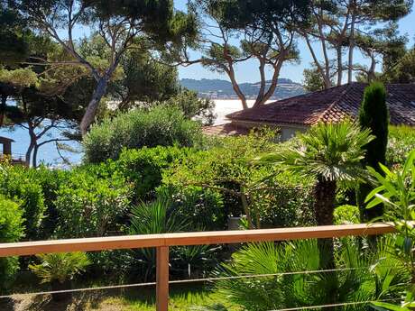 Chambre d'hôtes - Les Pins penchés