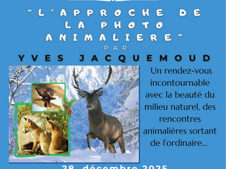 Documentaire débat "L'approche de la photo animalière" par Yves Jacquemoud