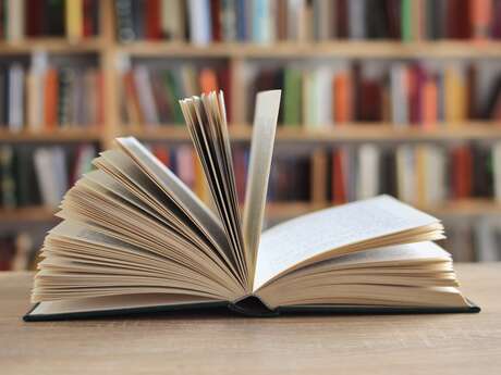 Livres échanges « JOURNAL D'UN VAMPIRE EN PYJAMA »