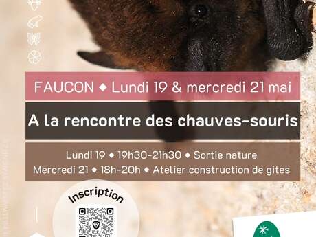 Les sorties Biodiv'ABC du Parc - Atelier construction de gîte pour chauve-souris