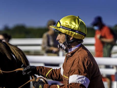 Races at the racecourse
