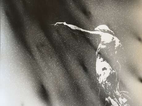 Exposition - Nicolas Daubanes "Aller voir les avions décoller"