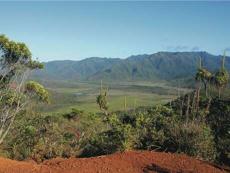 Chrome Lode Trail