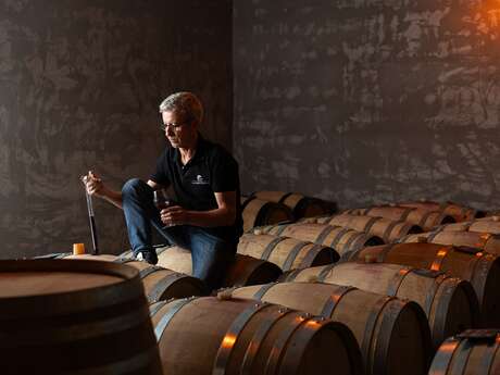 Visite guidée de la Cuverie, du chai, dégustation sur cuve et plateau apéritif