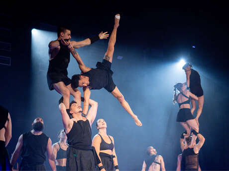 Cirque • spectacle : "The Genesis"