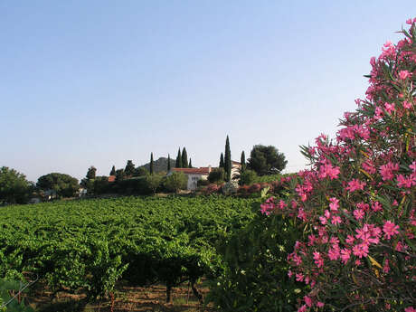 Château du Carrubier