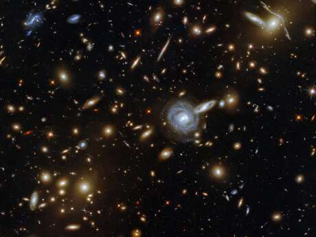 L'IA pour mieux comprendre l'Univers / FETE DE LA SCIENCE