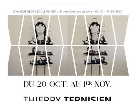 Mostra : Thierry TERNISIEN