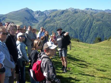 Transhumance Gourmande in Beille