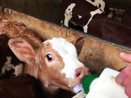 Découverte de la ferme