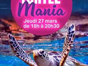Nocturne Turtle Mania