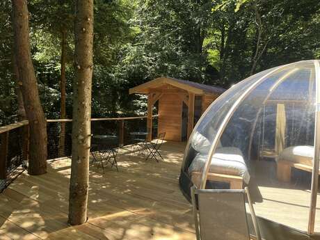 Bulle dans les arbres