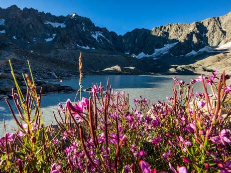 Lacs et col d'Arsine à partir d'Arsine