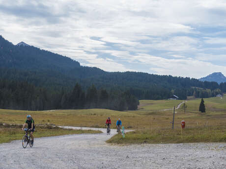 Aller cyclo : Col des Glières