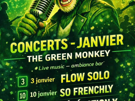 Live concert au Green Monkey Pub : Moonlight