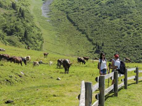 Atelier "Découverte de l'alpage"