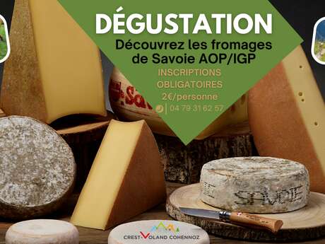 Dégustation de fromages locaux