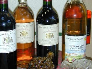 Exploitation du Lycée Agricole de Valabre - Bénédicte MACE