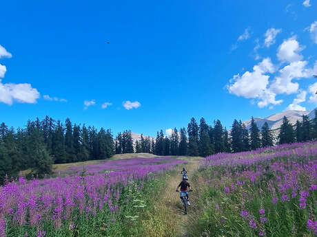 Itinéraire VTT AE  : forêt de l'herbe blanche