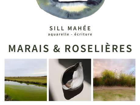 Exposition : Marais et roselières