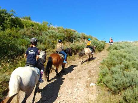 Ferme équestre de l'Alagnon
