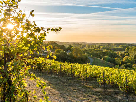 L'Ardoise Brissac Loire Aubance