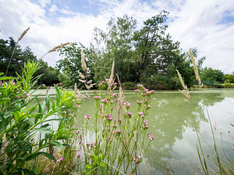 Visite | Le Parc de Clairefont, poumon vert de Castelsarrasin