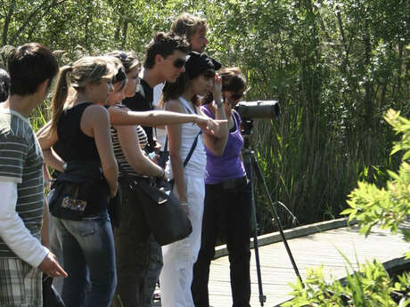 Discovery trail of "la Palunette" at the Marais du Vigueirat