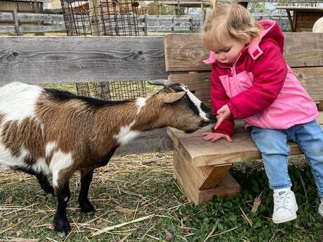 Ferme : Au bonheur des animaux