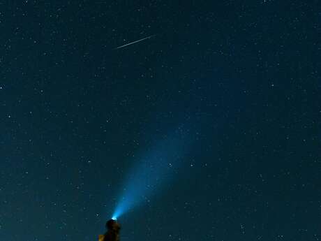 Découverte des étoiles