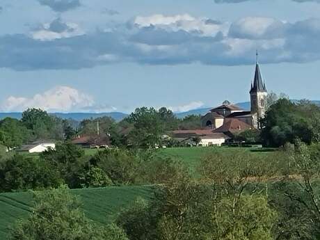 MTB-VTC route no. 27 (black) - The Bresse estates