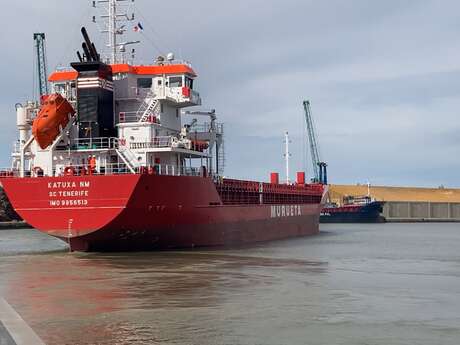 Visite guidée : les ports de Rochefort