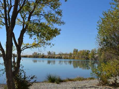 Parcours Cyclo n°7 - Val de Rancure et Plateau de Valensole