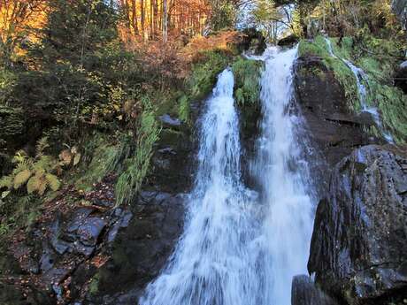 Randonnée contée vers une cascade