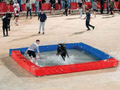Féria d'Alès - Toro Piscine