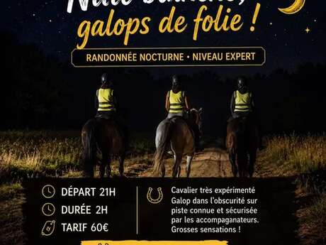 Nuit Blanche ! Randonnée équestre nocturne