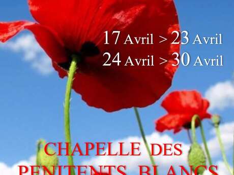 Salon de printemps - Expo 2