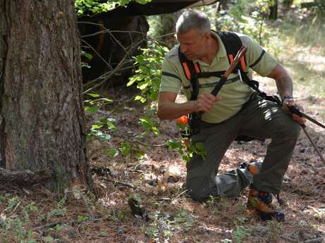 Les Rendez-Vous du Parc : La forêt, une gestion au long cours