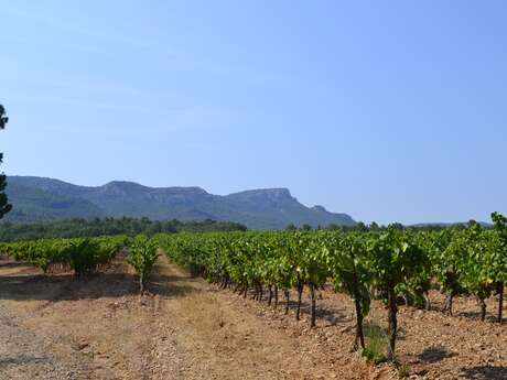 #RDVduParc • Sur le chemin des contrebandiers