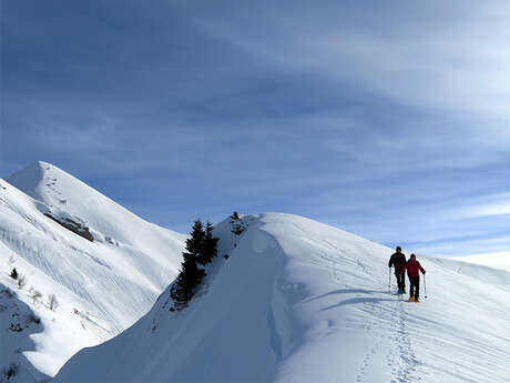 Week-end d'hiver en raquettes dans les Bauges