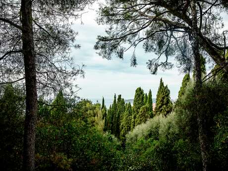 Association Pour La Sauvegarde Des Jardins D'Exception