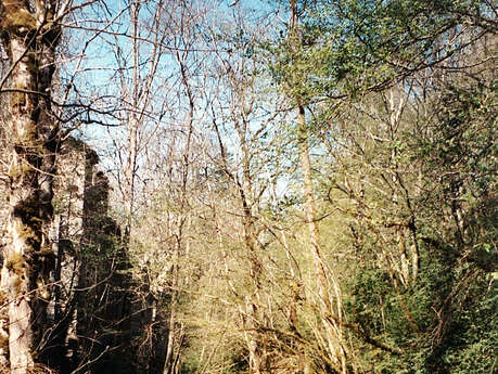 Atelier en famille " Meunier tu dors? "