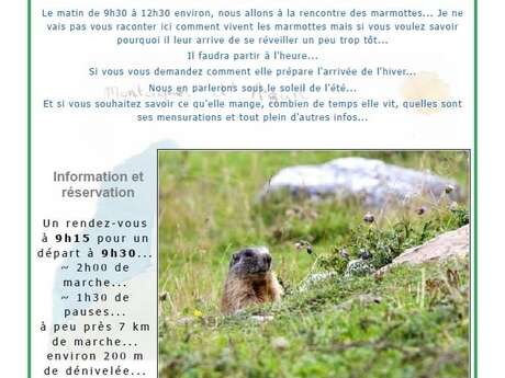 L'Avis des Marmottes