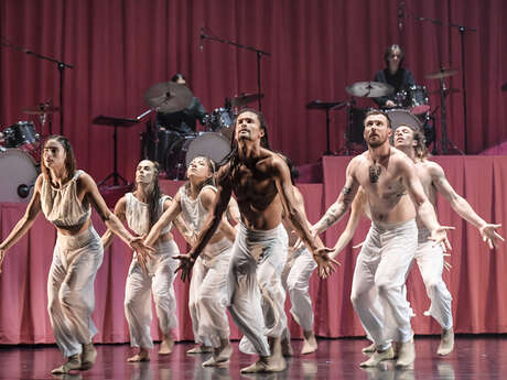 STEPHANIE LAKE COMPANY - "'Manifesto"