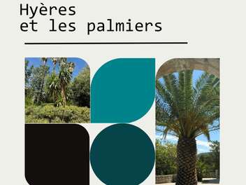 Focus : Hyères et les palmiers