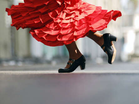 Association Les Libellules ACAMR